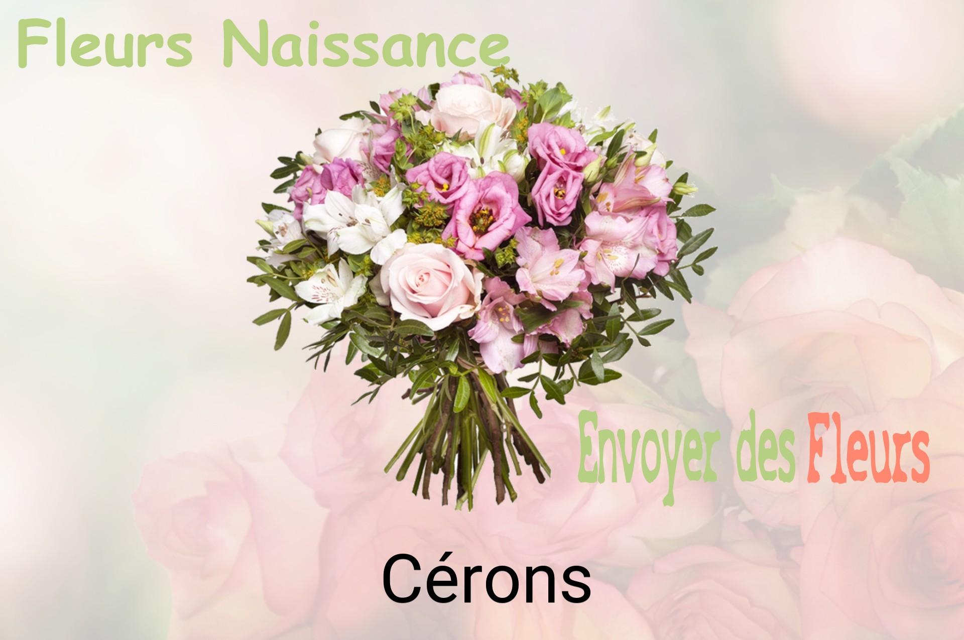 Bouquet de fleurs de naissance livré à Cérons