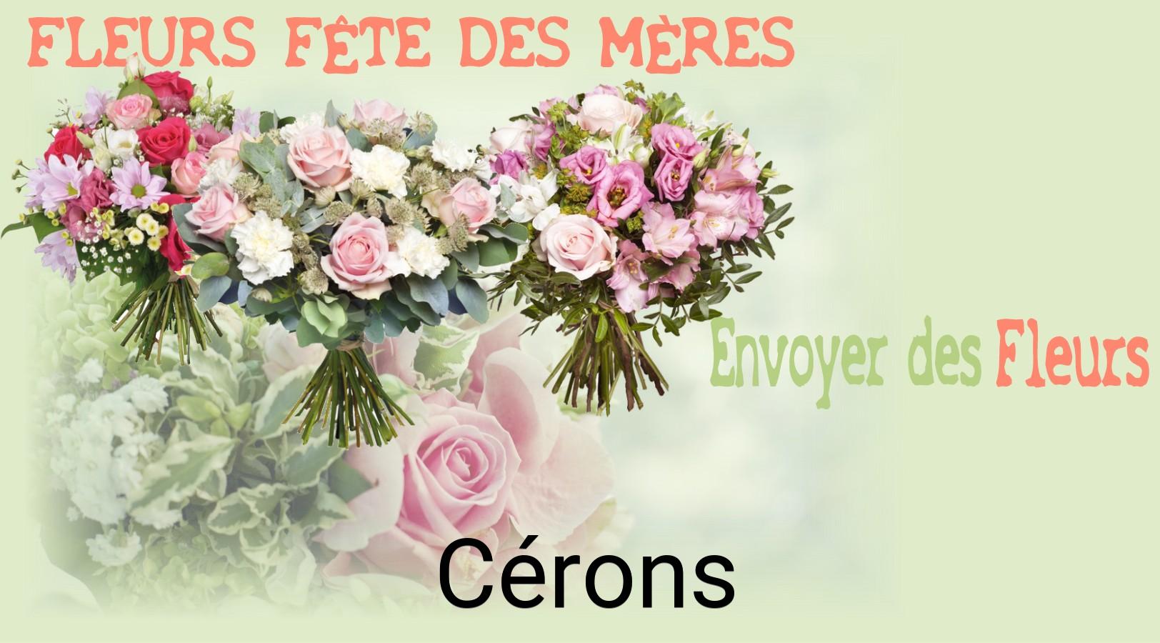 Bouquet de Fête des Mères livré à Cérons